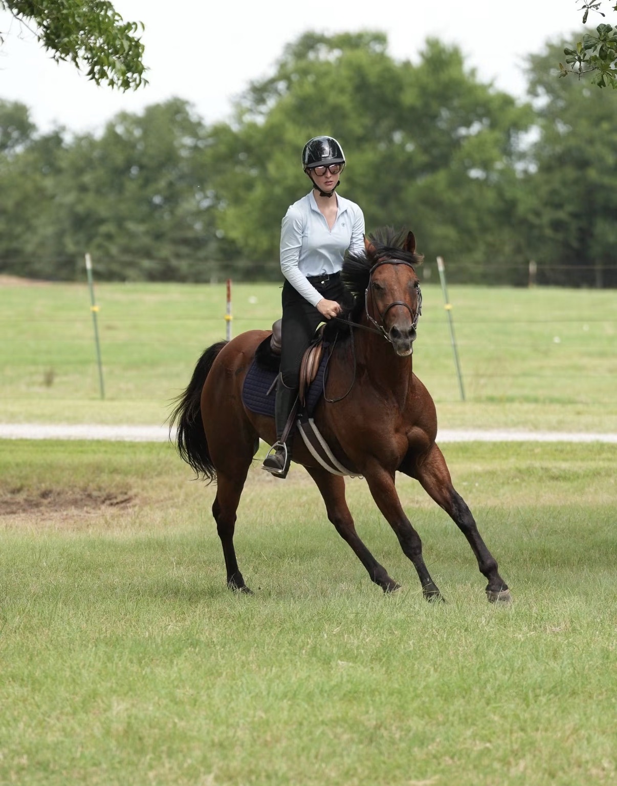 Horse and rider at LNJ Ranch
